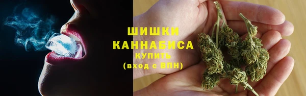 дмт Арсеньев