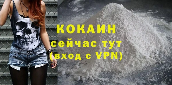 хмурый Аркадак