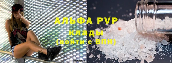хмурый Аркадак