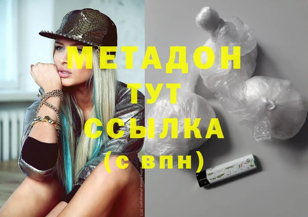 хмурый Аркадак