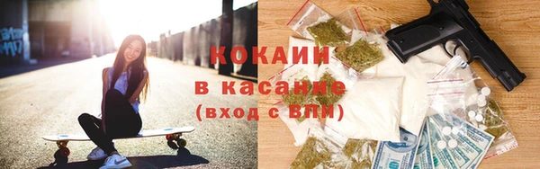 хмурый Аркадак